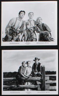 8a418 YEARLING 11 8x10 stills R71 Gregory Peck, Jane Wyman, Claude Jarman Jr., classic!