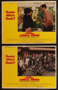 8f633 ANIMAL HOUSE 4 LCs R79 John Belushi, Tim Matheson, John Landis directed college classic!