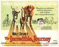 8p103 INCREDIBLE JOURNEY TC R74 Disney, Bull Terrier, Siamese cat & Labrador Retriever!