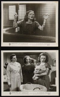 8r857 CAGED 2 8x10 stills '51 images of bad girl Eleanor Parker in prison, Ellen Corby!