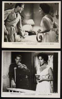 8r863 CAT ON A HOT TIN ROOF 2 8x10 stills R66 images of Newman and Taylor as Maggie the Cat!