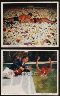 8r229 EASY TO LOVE 2 color 8x10 stills '53 pretty Esther Williams, Van Johnson, w/ flowers in pool!