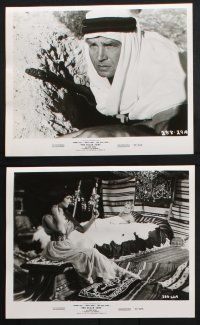 8r251 BLACK TENT 25 8x10 stills '57 soldier Anthony Steele marries the Sheik's daughter!