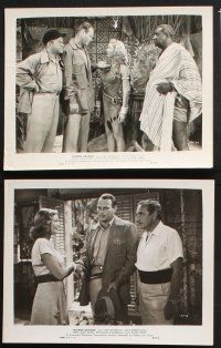 8r446 BLONDE SAVAGE 8 8x10 stills '47 Leif Erickson & sexy Gale Sherwood in African jungle!