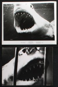 8r388 BLUE WATER, WHITE DEATH 10 8x10 stills '71 cool images of great white shark & scuba divers!