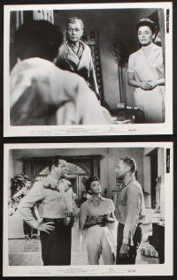 8r447 BOTTOM OF THE BOTTLE 8 8x10 stills '56 alcoholic Van Johnson, Joseph Cotten, Ruth Roman!