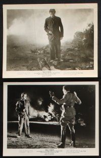 8r346 BREAK TO FREEDOM 12 8x10 stills '55 Anthony Steel, Jack Warner, World War II prison escape!