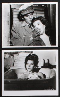 8r566 COLLECTOR 6 8x10 stills '65 sexy Samantha Eggar tries to seduce Terence Stamp!