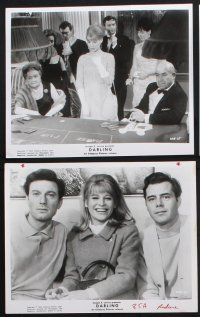 8r418 DARLING 9 8x10 stills '65 images of sexy Julie Christie, Dirk Bogarde, roulette gambling!