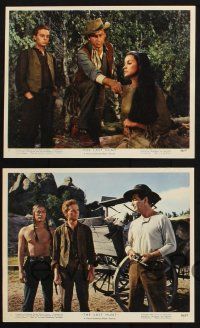 8r154 LAST HUNT 7 color 8x10 stills '56 Robert Taylor, Stewart Granger, Russ Tamblyn!