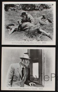 8r660 MEXICAN MANHUNT 5 8x10 stills '53 south-of-the-border George Brent & Karen Sharpe!