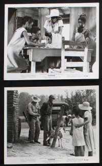 8r488 SOUNDER 8 8x10 stills '72 Cicely Tyson, sharecroppers, Newbery Award winner!