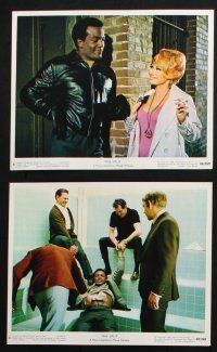 8r115 SPLIT 8 color 8x10 stills '68 Jim Brown, Jack Klugman, Diahann Caroll, Donald Sutherland