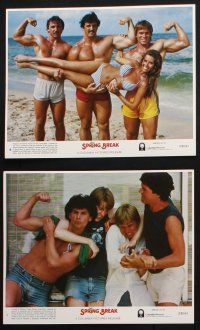 8r116 SPRING BREAK 8 8x10 mini LCs '83 many great images of sexy girls on the beach in bikinis!