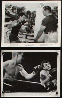 8r546 SQUARE JUNGLE 7 8x10 stills '56 boxing Tony Curtis fighting in the ring, Moore, Borgnine!