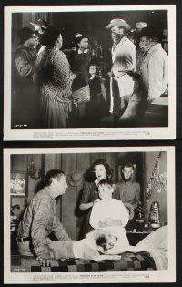 8r434 STRANGER AT MY DOOR 9 8x10 stills '56 MacDonald Carey, Patricia Medina, Skip Homeier