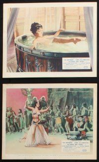 8r094 SOLOMON & SHEBA 8 color English FOH LCs '59 Yul Brynner & super sexy Gina Lollobrigida!