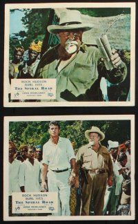 8r113 SPIRAL ROAD 8 color English FOH LCs '62 Burl Ives, Rock Hudson & Gena Rowlands in jungle!