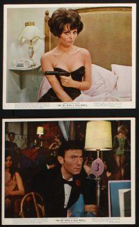 8r117 SPY WITH A COLD NOSE 8 color English FOH LCs '67 spy Laurence Harvey & sexy Daliah Lavi!