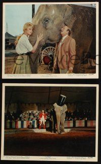 9p235 JUMBO 3 color 8x10 stills '62 Doris Day, Jimmy Durante, great images of circus animals!