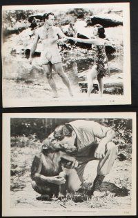 9p419 JUNGLE MANHUNT 13 8x10 stills '51 Johnny Weissmuller as Jungle Jim!