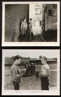 9p271 KID FROM CLEVELAND 25 8x10 stills '49 Russ Tamblyn, George Brent, pretty Lynn Bari, baseball!