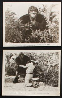 9p382 KILLER APE 15 8x10 stills '53 Weissmuller as Jungle Jim, Max Palmer in the title role!