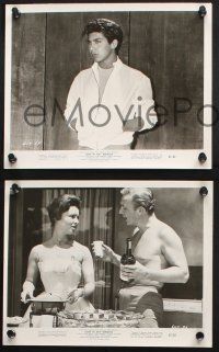 9p880 LOOK IN ANY WINDOW 3 8x10 stills '61 Paul Anka, gorgeous Ruth Roman, Alex Nicol!