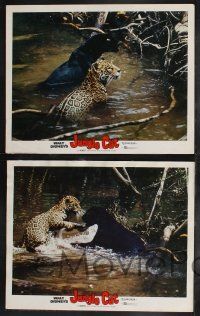 9s530 JUNGLE CAT 6 LCs '60 Disney, great images of jaguars, savage lord of the Amazon!