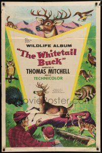 9z976 WHITETAIL BUCK 1sh '55 RKO nature documentary, art of deer & forest animals!