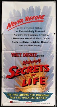 1f884 SECRETS OF LIFE 3sh '56 Disney's most amazing & miraculous True Life Adventure feature!