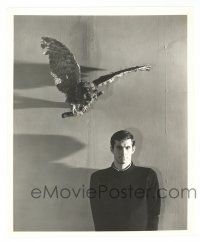 1m733 PSYCHO 8.25x10 still '60 cool portrait of Anthony Perkins w/ stuffed owl, Hitchcock classic!