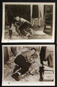 1x425 BAD SEED 11 8x10 stills '56 Nancy Kelly, Henry Jones, the little girl is really bad!