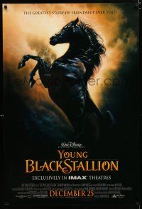 1z847 YOUNG BLACK STALLION advance DS 1sh '03 Walt Disney, greatest story of friendship ever told!