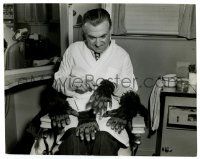 2z985 WOLF MAN candid 7.5x9.5 still '41 wonderful image of Jack Pierce making monster hands & feet!