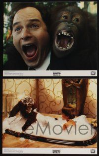 3d190 DUNSTON CHECKS IN 8 color 11x14 stills '95 Jason Alexander, Faye Dunaway, wacky orangutan!