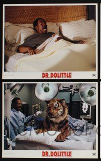 3d179 DOCTOR DOLITTLE 8 LCs '98 Eddie Murphy, Ossie Davis, Oliver Platt!