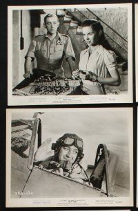 3f168 MALTA STORY 8 8x10 stills '54 Alec Guinness, Jack Hawkins, Muriel Pavlow!