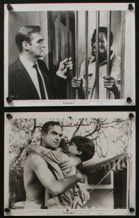 5s251 DINGAKA 17 8x10 stills '65 Jamie Uys, Stanley Baker, Juliet Prowse, South African native tribe