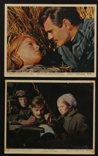 5s149 DOCTOR ZHIVAGO 6 color 8x10 stills '65 Omar Sharif, Julie Christie, Chaplin, Lean classic epic