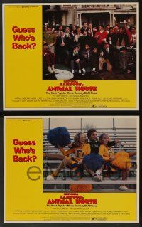 5w761 ANIMAL HOUSE 4 LCs R79 John Belushi, Tim Matheson, John Landis directed college classic!