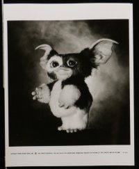 8h167 GREMLINS 2 26 8x10 stills '90 wacky horror images, Zach Galligan, Phoebe Cates, Gizmo!