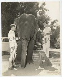 2s631 MOON OVER BURMA candid 7.75x9.5 still '40 makeup man fixes up Duchess the elephant by Bulloch