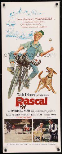 4c812 RASCAL insert '69 Walt Disney, great art of Bill Mumy on bike with raccoon & dog!