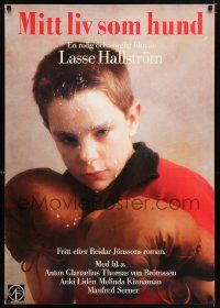 5f071 MY LIFE AS A DOG Swedish '87 Lasse Hallstrom's Mitt liv som hund, boxing kid covered in milk