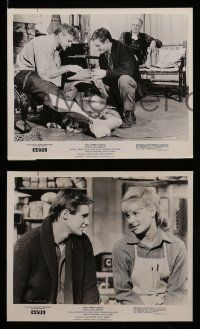 5x247 THOSE CALLOWAYS 14 8x10 stills '65 Walt Disney, Brian Keith, Walter Brennan!