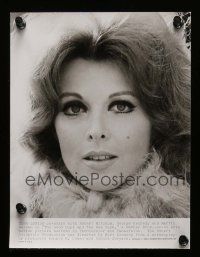 5x514 TINA LOUISE 8 from 7.5x9.75 to 8.25x10 stills '60s-70s portraits from a variety of roles!