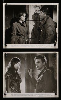 5x446 VICTORS 9 8x10 stills '64 Vince Edwards, Albert Finney, George Hamilton, Melina Mercouri