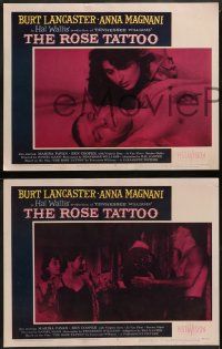 6c397 ROSE TATTOO 8 LCs '55 Burt Lancaster & Anna Magnani, Tennessee Williams!