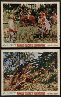 8w812 SWISS FAMILY ROBINSON 3 LCs R68 John Mills, Walt Disney family fantasy classic!